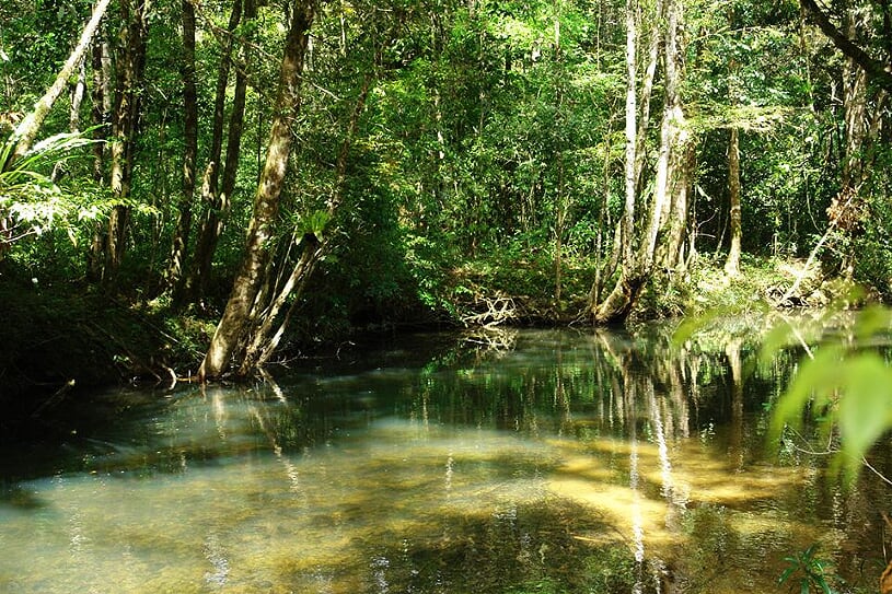 bidoup-national-park