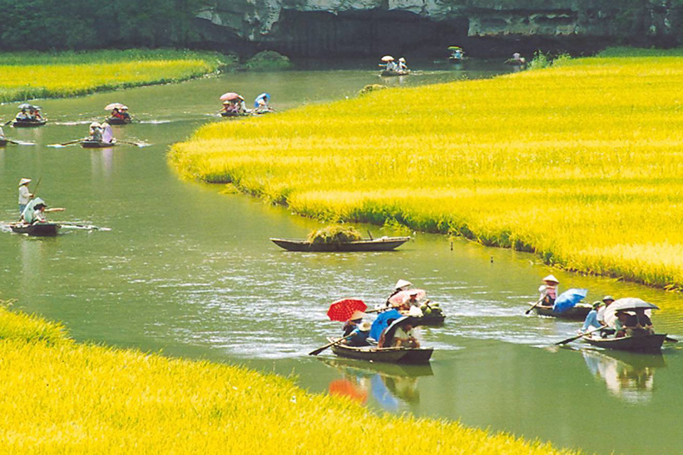 hoa-lu-tam-coc-full-day-private-3