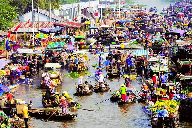 cai-rang-floating-market-gecko-eyes-cruise-saigon-phnom-penh-3-days-4