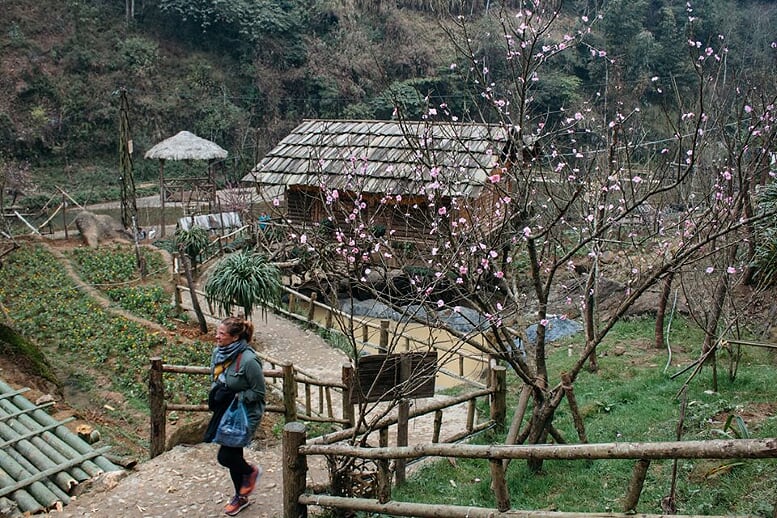 sapa-trekking-bac-ha-market-3d4n-9