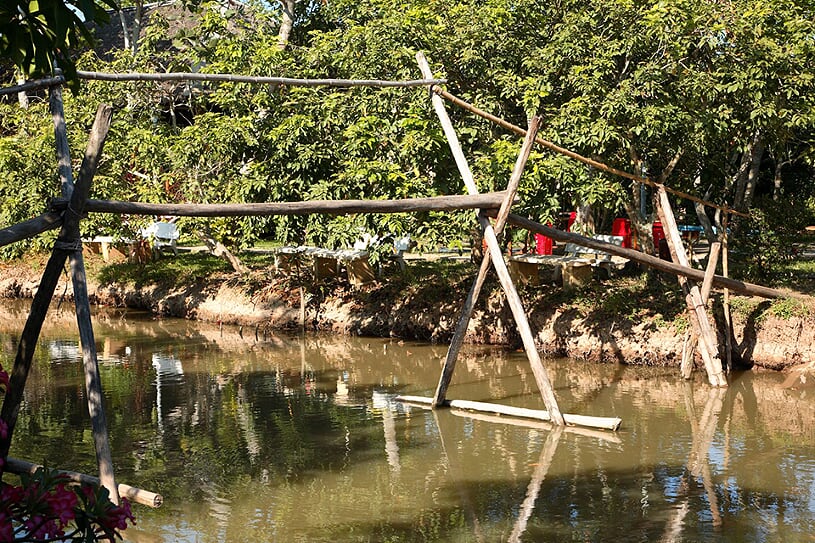 monkey-bridge-1