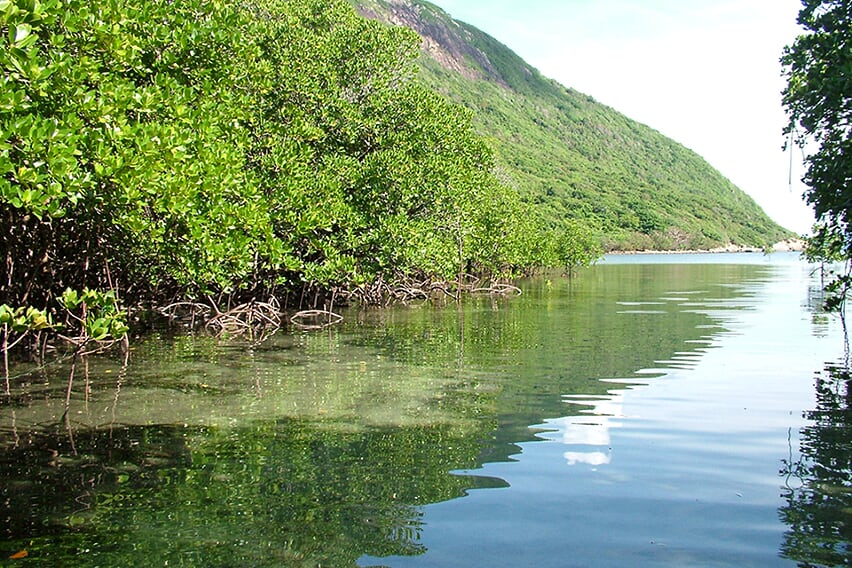 explore-bay-canh-island-with-canoe-1
