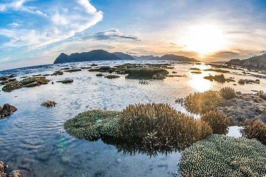 con-dao-discovery-3-days-by-plane-5