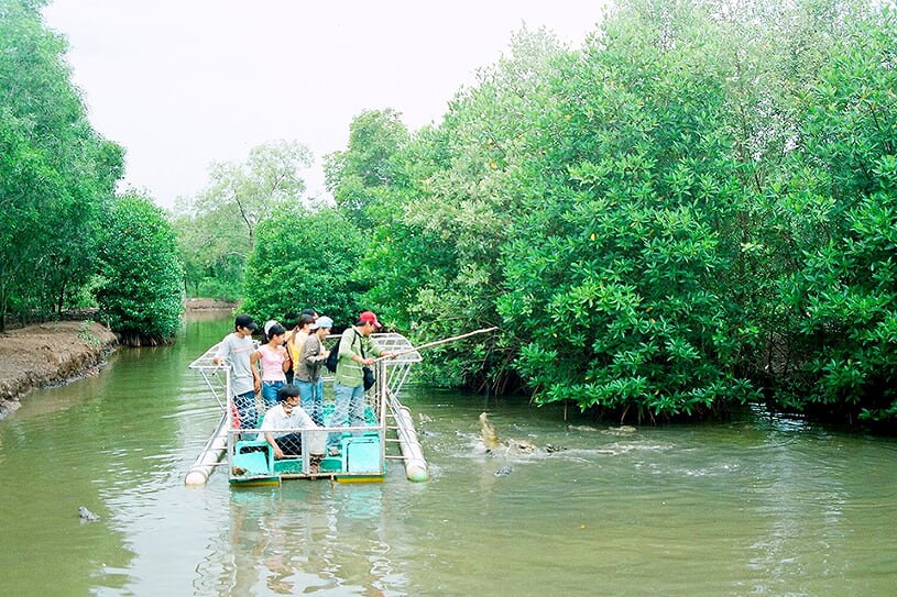 crocodile-farm