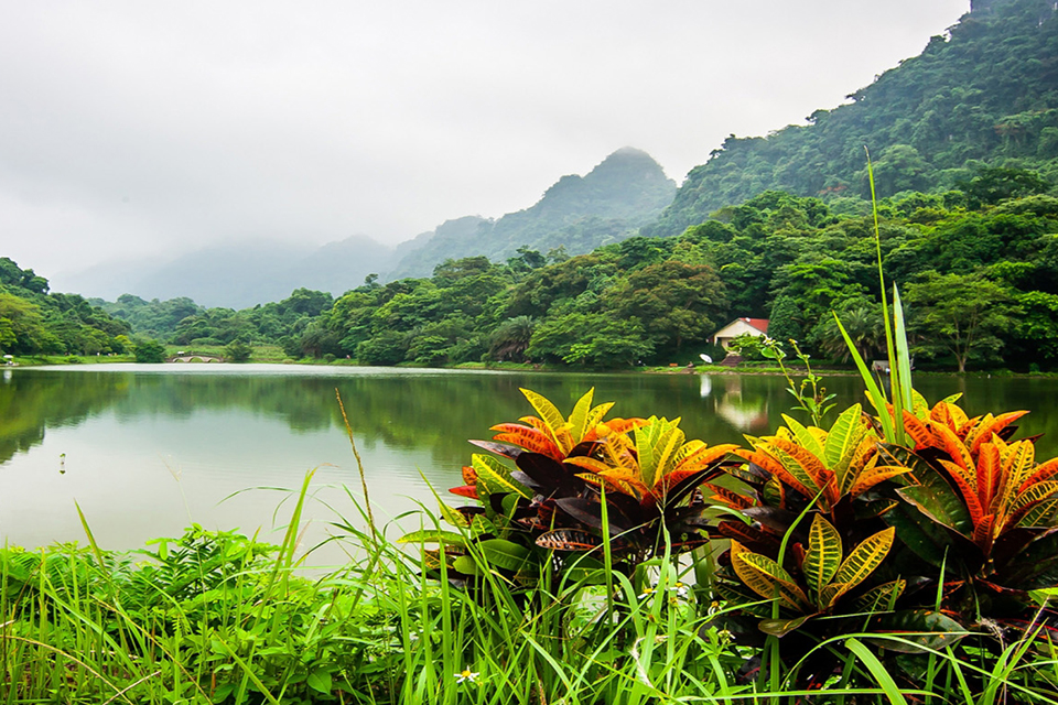 cuc-phuong-national-park-full-day-private-1