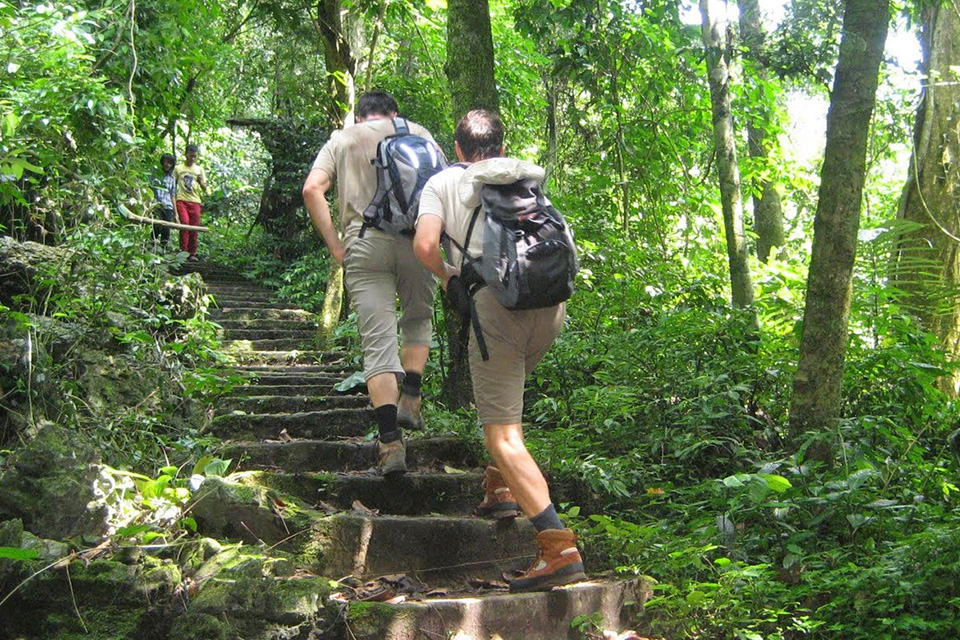 cuc-phuong-national-park-full-day-private-4