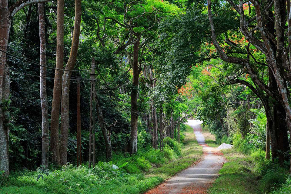 cuc-phuong-national-park-full-day-private-3