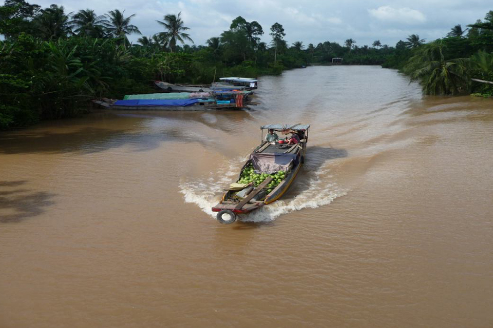 960-daily-activities-in-mekong-delta