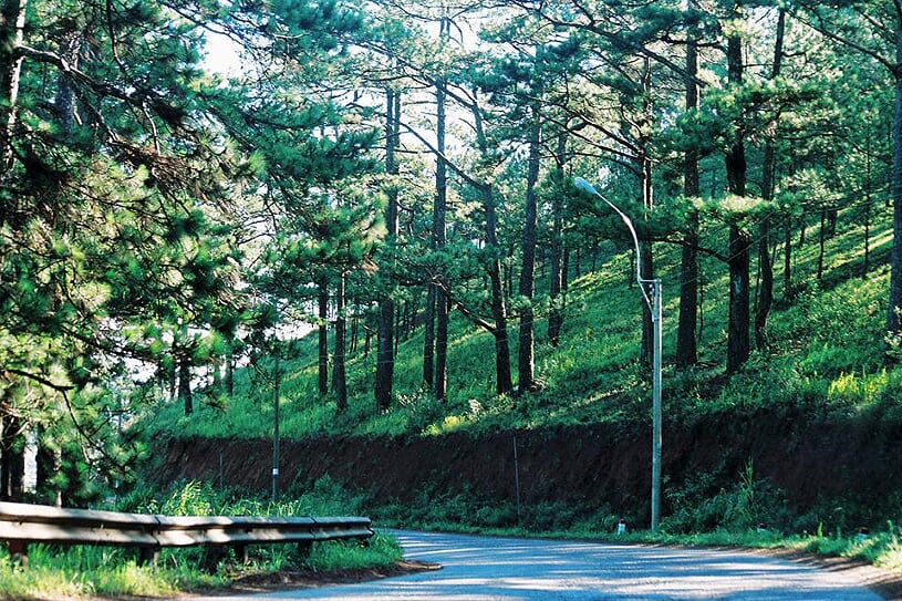 da-lat