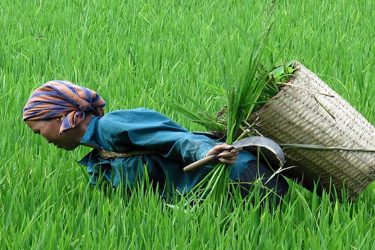 local-people