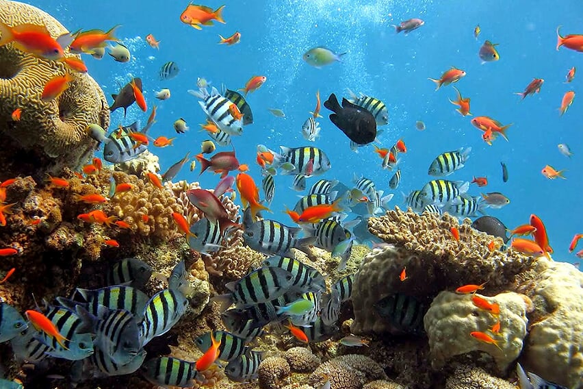phu-quoc-beach-sun-package-4d3n-2