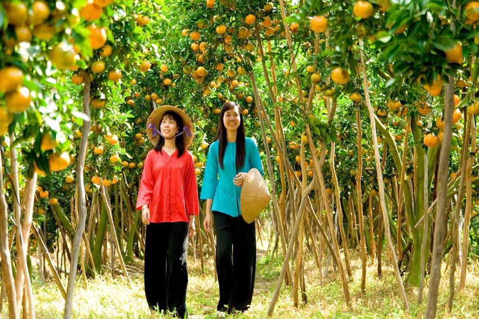cai-be-vinh-long-private-day-trip-4