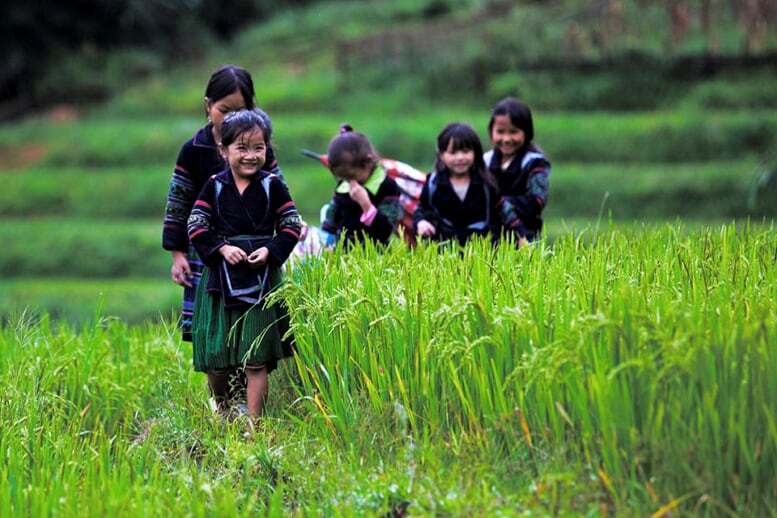 sapa-trekking-and-market-3d4n-4