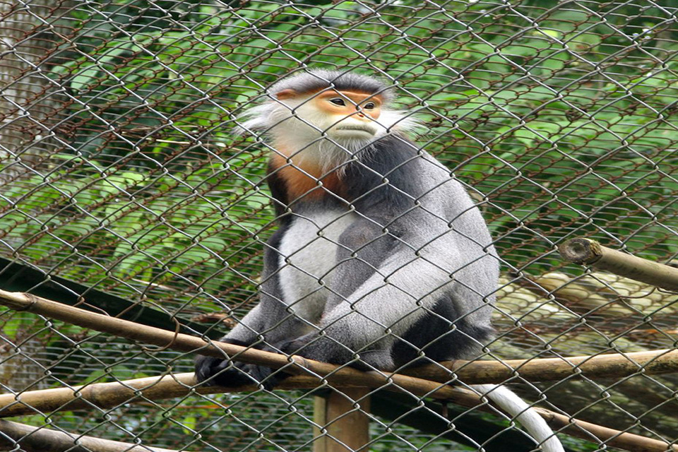 cuc-phuong-national-park-full-day-private-5