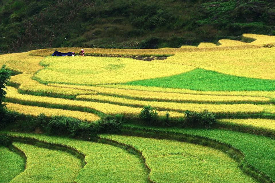explore-ha-giang-sapa-7-days-3