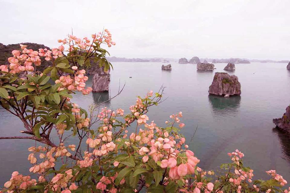 discover-hanoi-with-kids-6-days-4