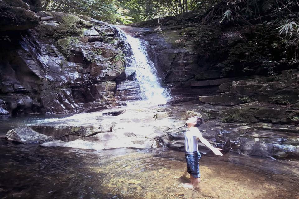 immerse-in-nature-in-bach-ma-national-park