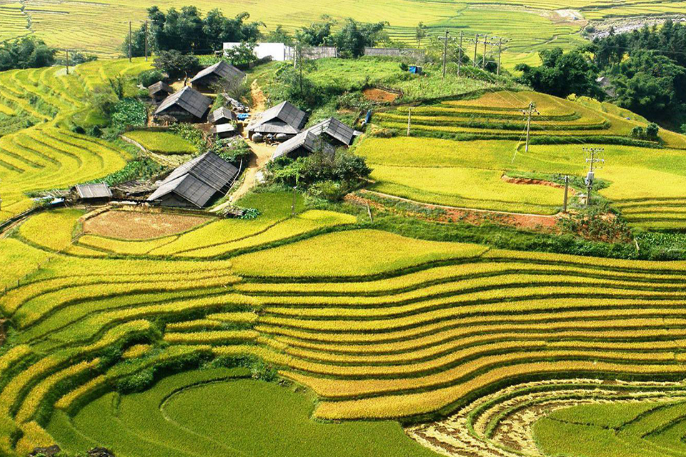 960-lao-chai-ta-van