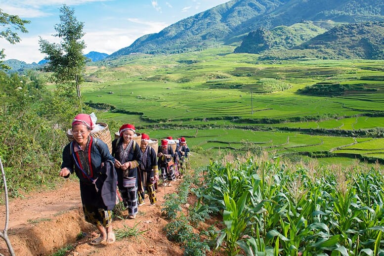 sapa-medium-trek-3d4n-5
