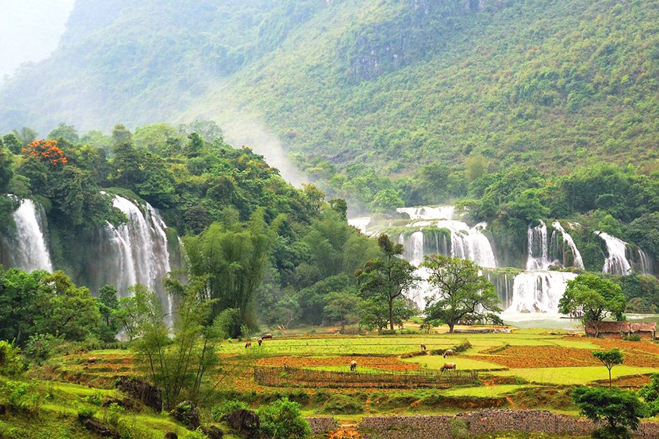 mai-chau-full-day-group-tour-3