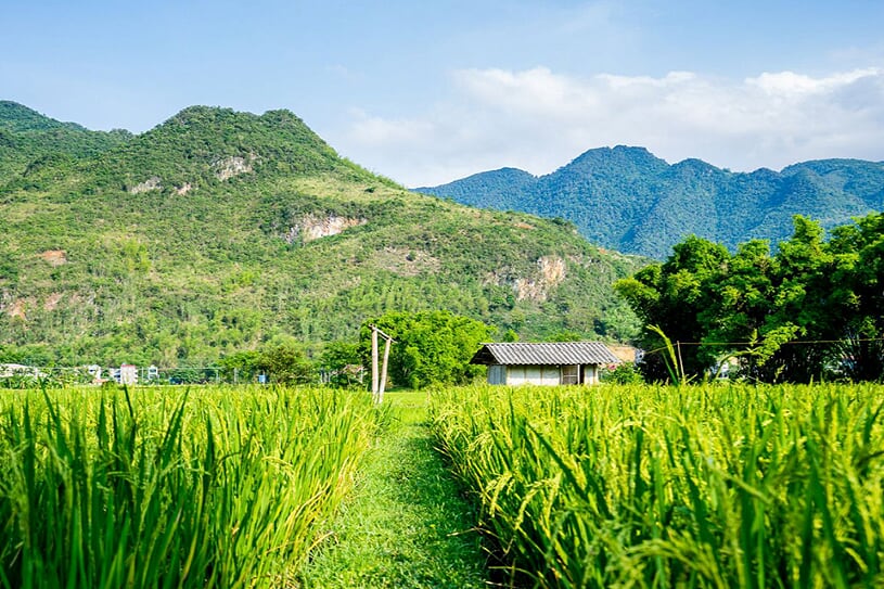 mai-chau-landscape