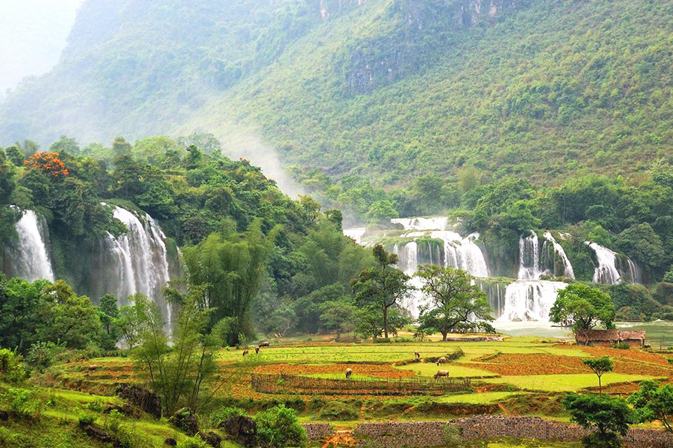 mai-chau-valley-full-day-private-tour-1