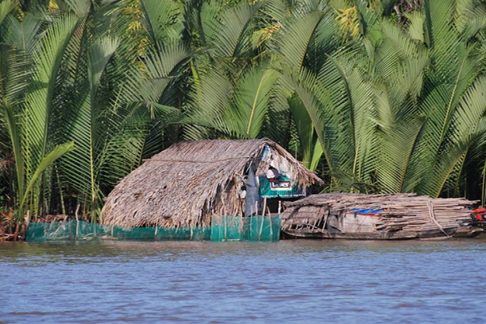 mekong-delta-tour-full-day-2