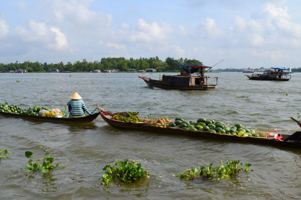 960-mekong-river-cruise