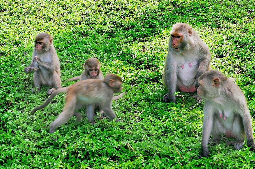 monkey-island-full-day-2