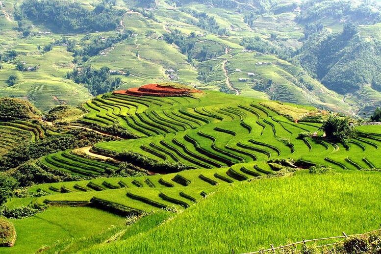sapa-easy-trek-bac-ha-market-2d3n-4