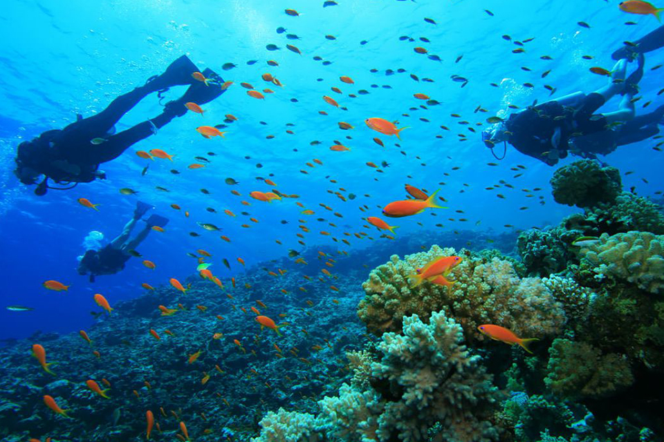 960-nha-trang-scuba-diving
