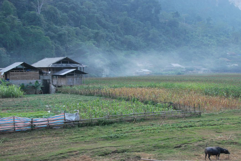 960-pac-ngoi-village