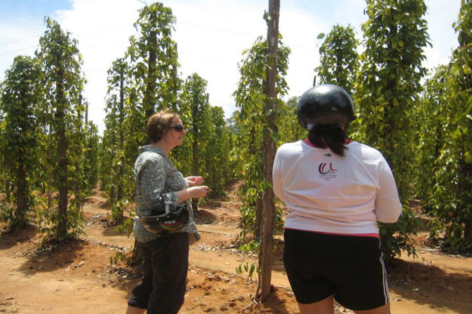 pepper-farm-phu-quoc-northern-island-day-tour-1