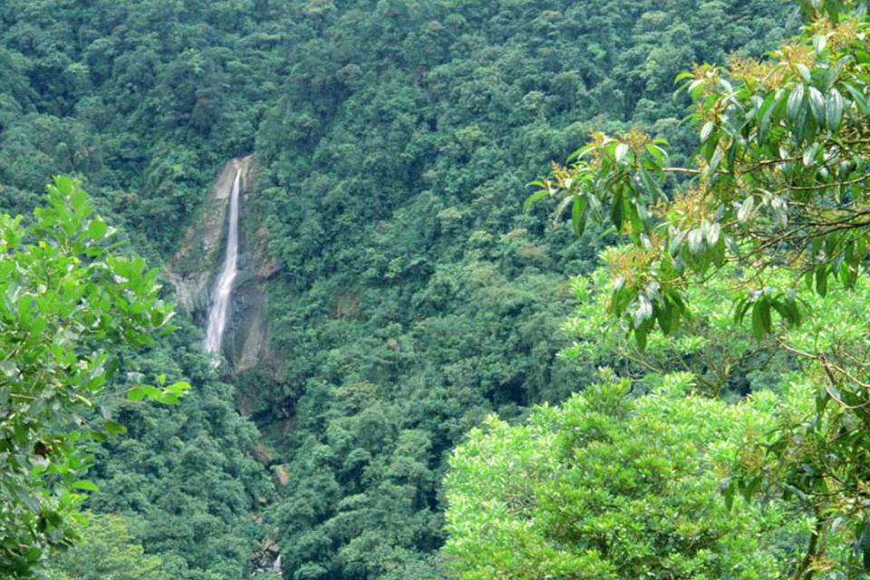 national-park-phu-quoc-northern-island-day-tour-4