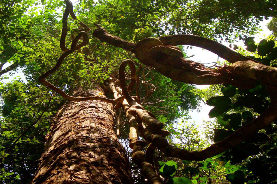 national-park-phu-quoc-getaway-5days-4