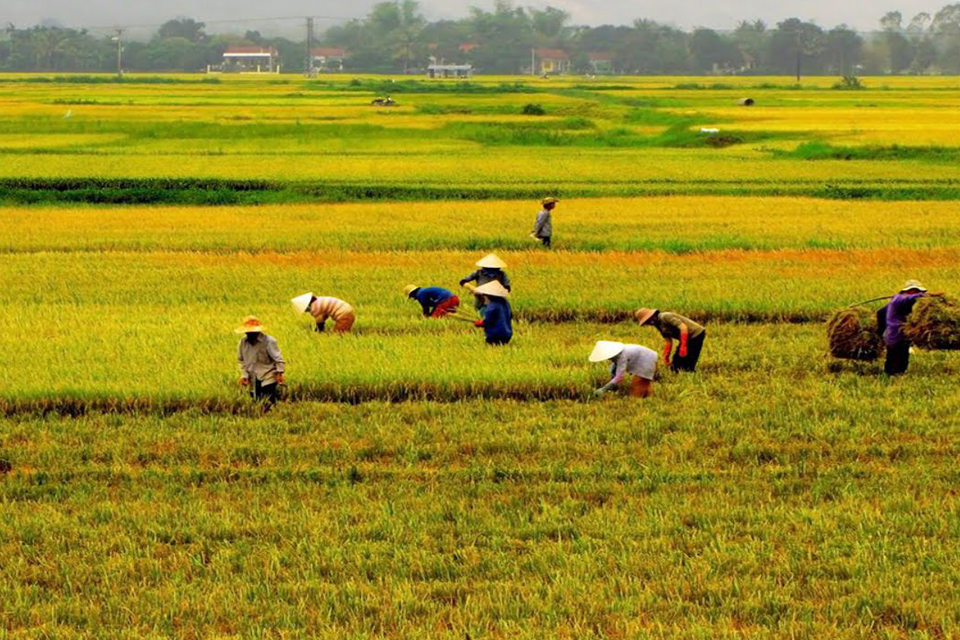 red-river-delta-and-countryside-discovery-2