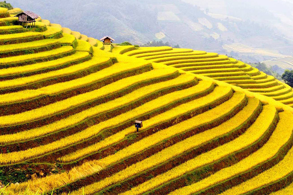 sapa-cat-cat-lao-chai-ta-van-bus tour-2d1n-2