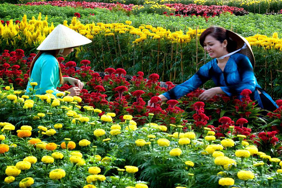 960-sa-dec-flower-garden