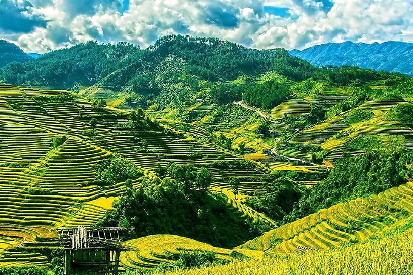 sapa