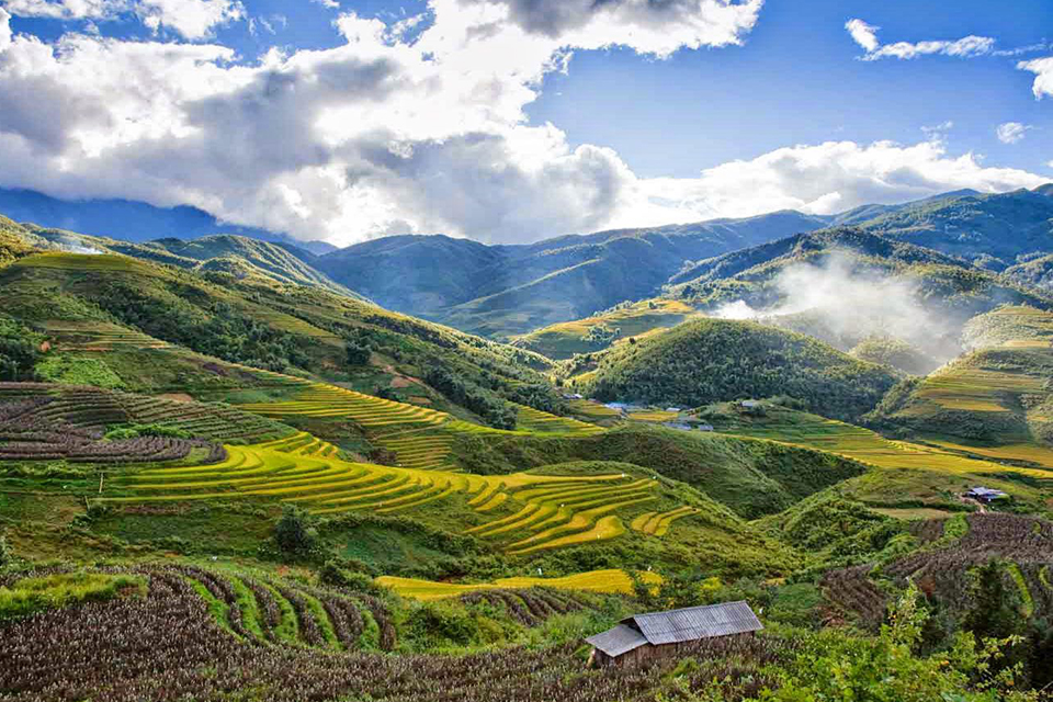 sapa-landscape