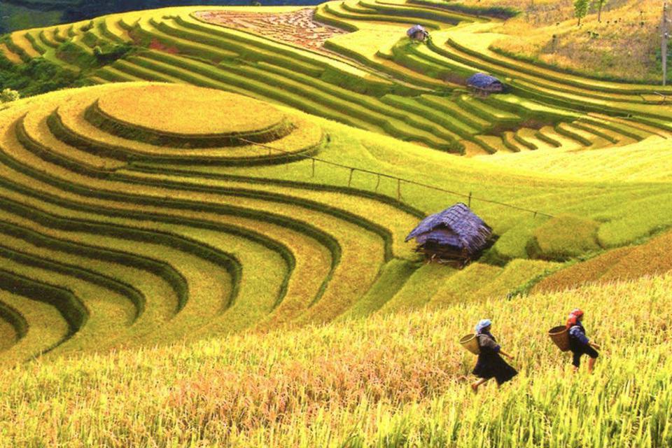 explore-ha-giang-sapa-7-days-4
