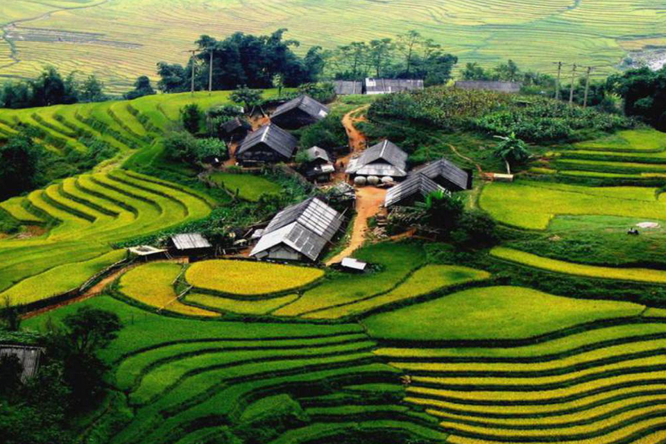 960-sapa-terraces