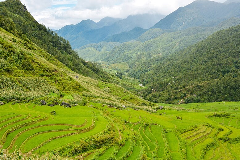 sapa-trekking-bac-ha-market-3d4n-2