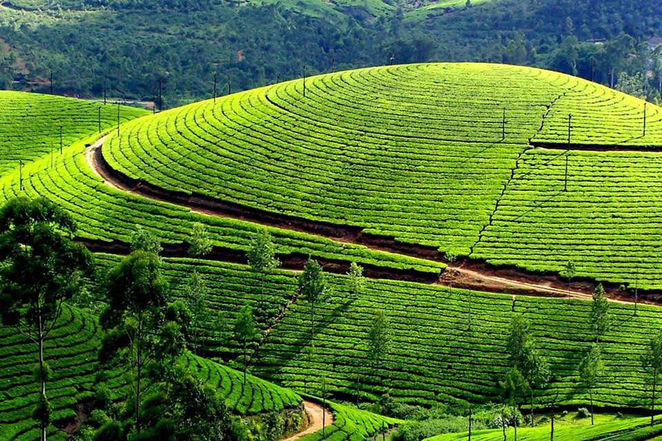 mai-chau-2-days-classic-group-tour-5