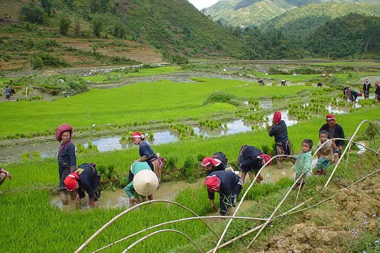 sapa-medium-trek-3d4n-8