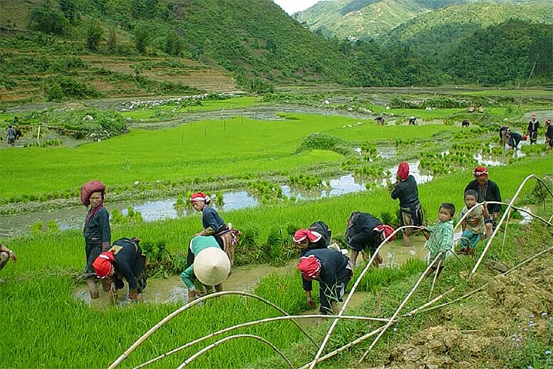 from-halong-bay-to-sapa-6-days-8