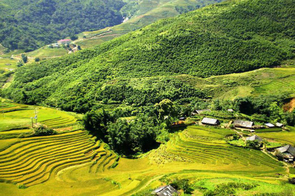 960-ta-van-terraces
