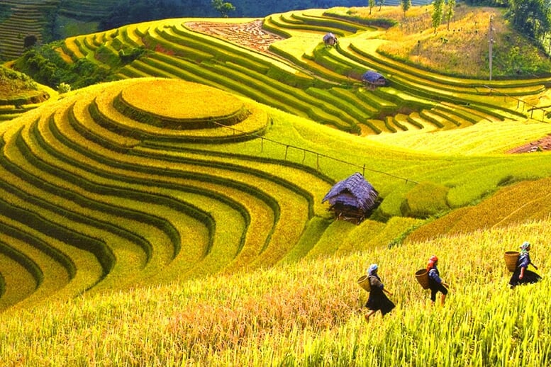 sapa-easy-trek-2d3n-by-train-7