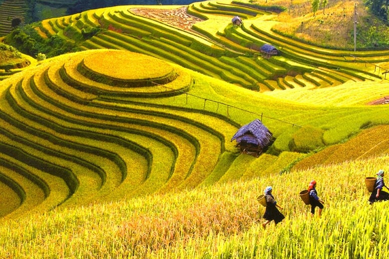 sapa-easy-trek-bac-ha-market-2d3n-2