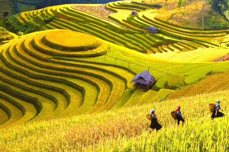 sapa-biking-trekking-2d3n-7